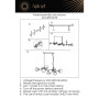 Подвесной светильник Nika APL.819.03.09