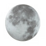 Настенно-потолочный светильник Moon 3084/DL